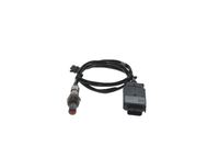 NOx Sensor Harnstoffeinspritzung, Bild 1