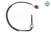 Sensor Abgastemperatur, Bild 1