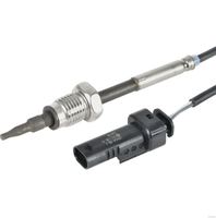 Sensor Abgastemperatur, Bild 1