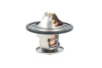 Thermostat Kühlwasser Kühlmittel, Bild 38