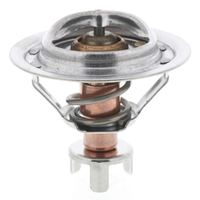 Thermostat Kühlwasser Kühlmittel, Bild 6