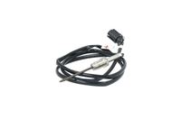 Sensor Abgastemperatur, Bild 13