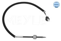 Sensor Abgastemperatur, Bild 1