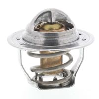 Thermostat Kühlwasser Kühlmittel, Bild 29