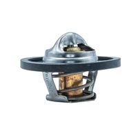 Thermostat Kühlwasser Kühlmittel, Bild 17