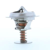 Thermostat Kühlwasser Kühlmittel, Bild 14