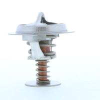 Thermostat Kühlwasser Kühlmittel, Bild 17