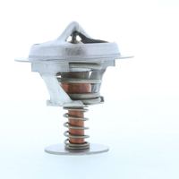 Thermostat Kühlwasser Kühlmittel, Bild 18