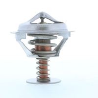 Thermostat Kühlwasser Kühlmittel, Bild 20