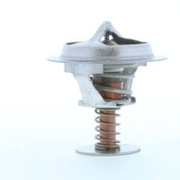 Thermostat Kühlwasser Kühlmittel, Bild 30