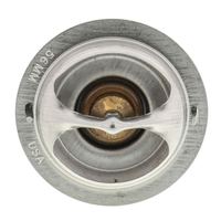 Thermostat Kühlwasser Kühlmittel, Bild 4