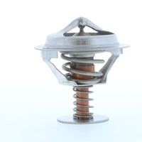 Thermostat Kühlwasser Kühlmittel, Bild 32