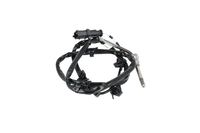 Sensor Abgastemperatur, Bild 11