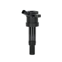 Zündspule Zündmodul, Bild 13