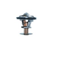 Thermostat Kühlwasser Kühlmittel, Bild 13