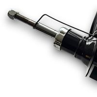 Gas-Stoßdämpfer, Bild 6