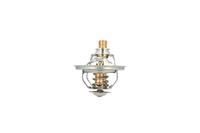 Thermostat Kühlwasser Kühlmittel, Bild 36