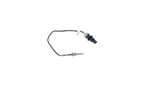 Sensor Abgastemperatur, Bild 39