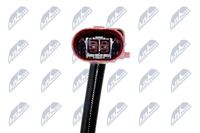 Sensor Abgastemperatur, Bild 3