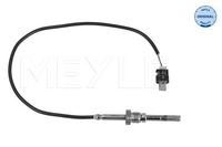 Sensor Abgastemperatur, Bild 1