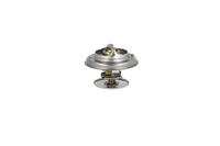 Thermostat Kühlwasser Kühlmittel, Bild 16