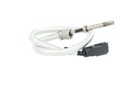 Sensor Abgastemperatur, Bild 38