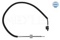 Sensor Abgastemperatur, Bild 1
