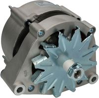 Lichtmaschine Generator