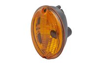 Blinker Blinkleuchte