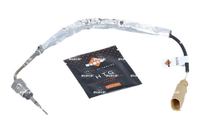 Sensor Abgastemperatur, Bild 1