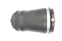 Luftfeder Fahrwerk, Bild 1