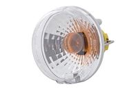 Blinker Blinkleuchte