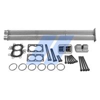 Reparatursatz, AGR-Modul