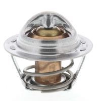 Thermostat Kühlwasser Kühlmittel, Bild 18