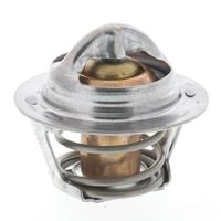 Thermostat Kühlwasser Kühlmittel, Bild 28