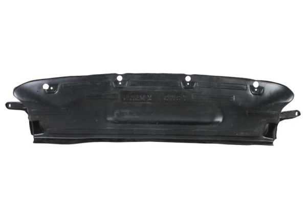 Unterfahrschutz Motorschutz