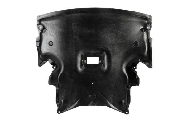 Unterfahrschutz Motorschutz