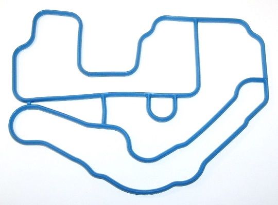 Dichtung Thermostatgehäuse