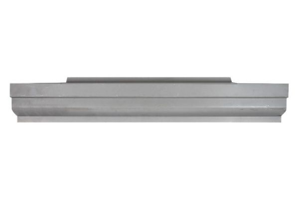 Einstiegsblech Schweller