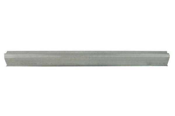 Einstiegsblech Schweller