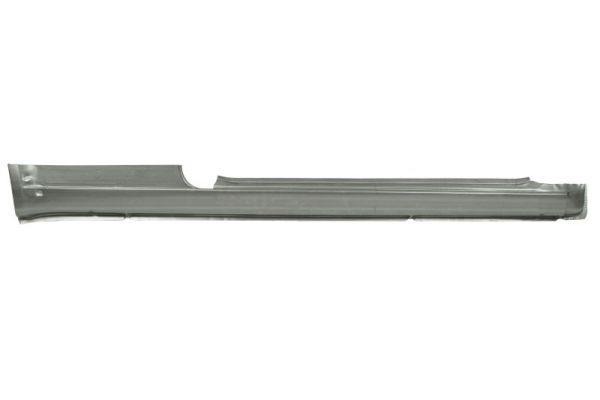 Einstiegsblech Schweller