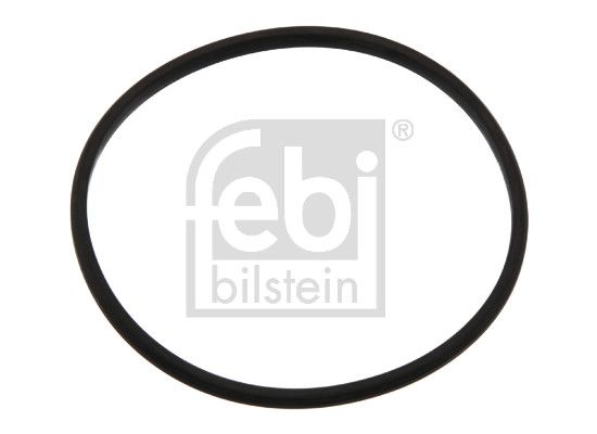 Dichtung Thermostat