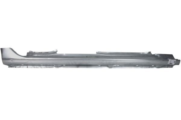 Einstiegsblech Schweller
