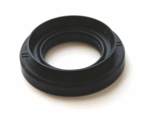 Wellen Dichtring Differential