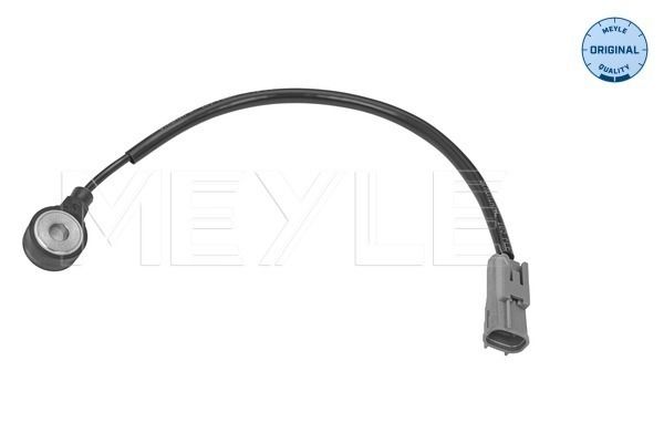 Klopfsensor
