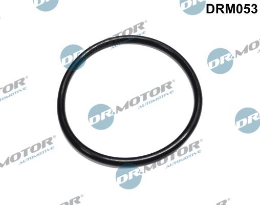 Dichtung Kraftstofffilter Filter