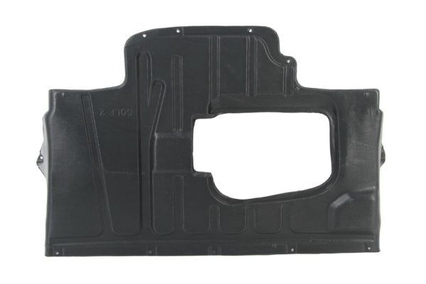 Unterfahrschutz Motorschutz