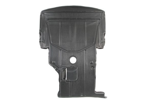 Unterfahrschutz Motorschutz