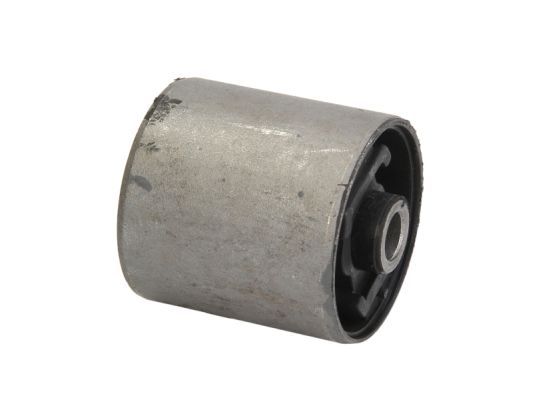 Querlenker Silentblock hinten