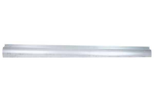 Einstiegsblech Schweller